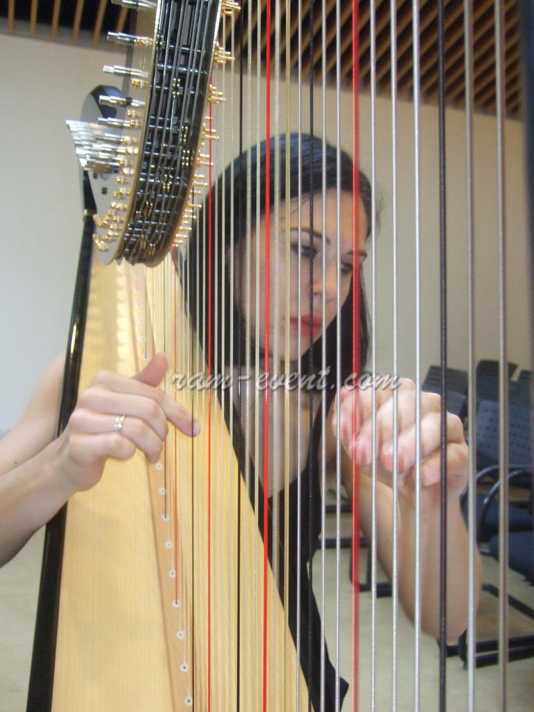 harpiste pour événements